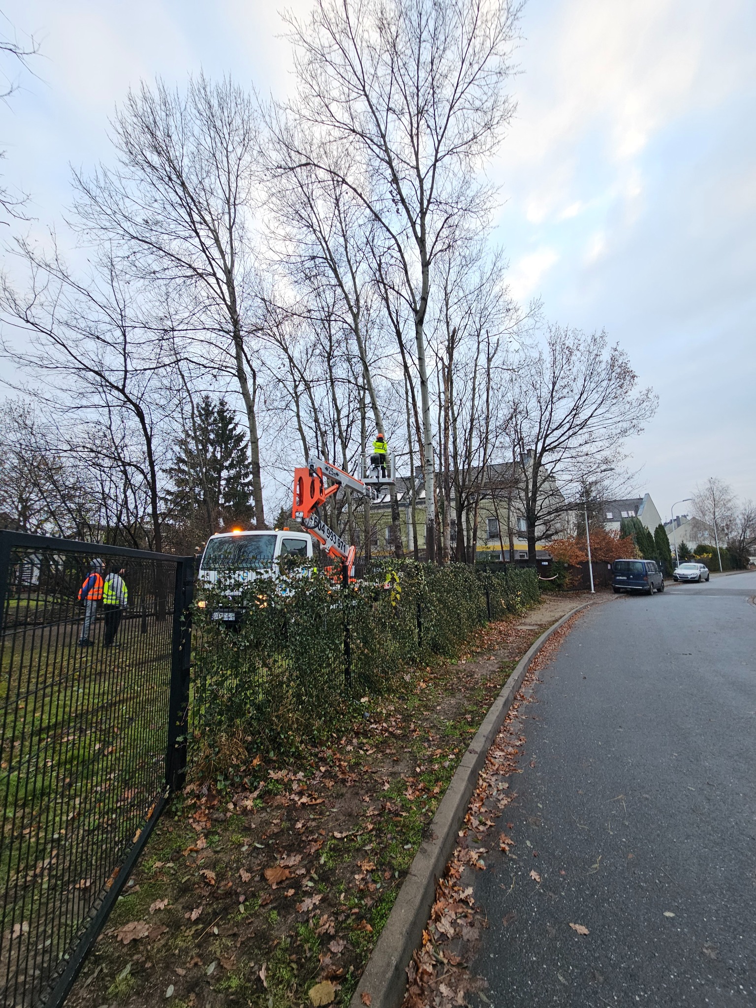 Pracownik w pomarańczowym podnośniku koszowym przycina drzewa, widoczny samochód dostawczy z włączonymi światłami ostrzegawczymi i dwaj pracownicy w odblaskowych kamizelkach na tle ogrodzenia...