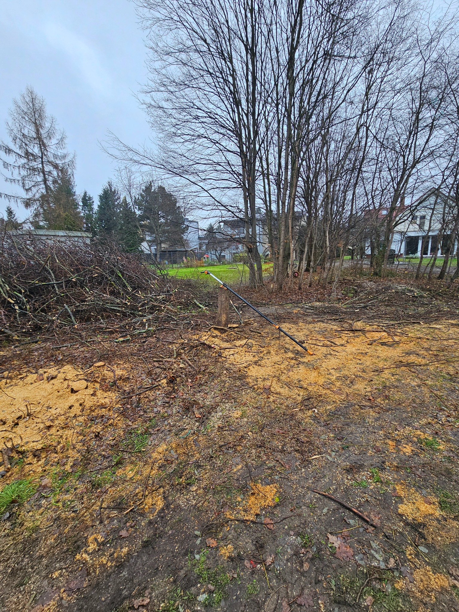 Teren po wycince drzew: pień z narzędziem do cięcia, stos gałęzi, wióry na ziemi, widoczne budynki w tle, pochmurne niebo.