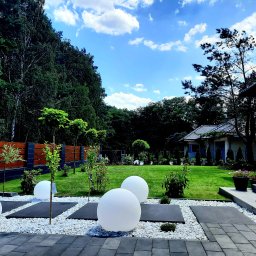 Wycinka drzew Świdnica 2