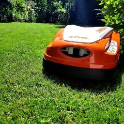 Wycinka drzew Świdnica 3