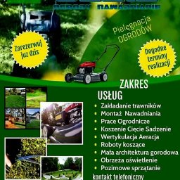 Wycinka drzew Świdnica 1