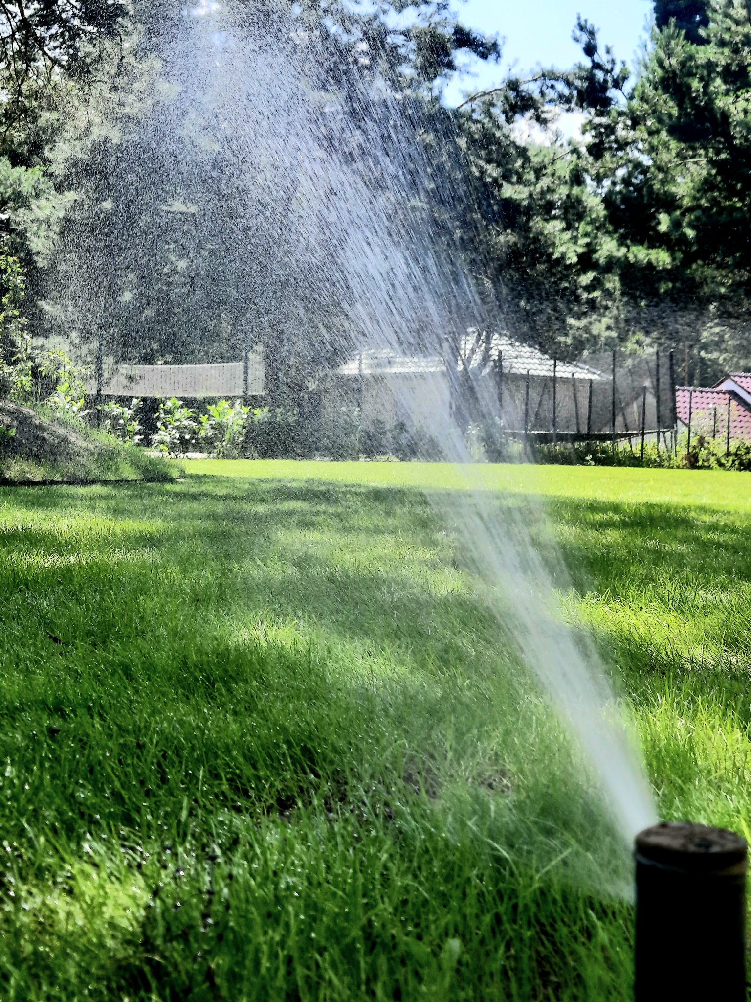 Automatyczny zraszacz nawadnia intensywnie zielony trawnik w ogrodzie, w tle widoczne drzewa i elementy architektury ogrodowej.