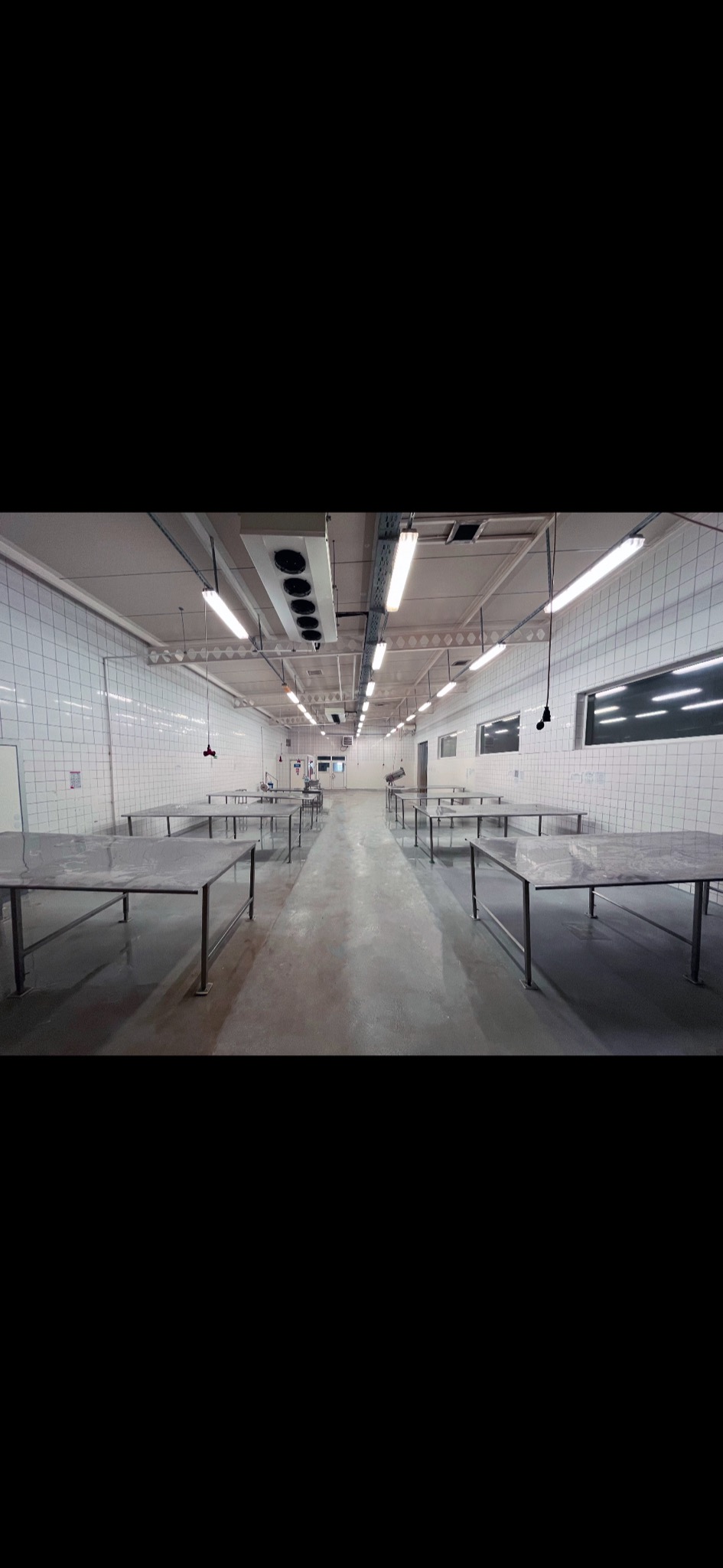 Pusta hala z rzędami metalowych stołów pod folią, białe kafelki na ścianach, oświetlenie jarzeniowe i system wentylacji sufitowej.