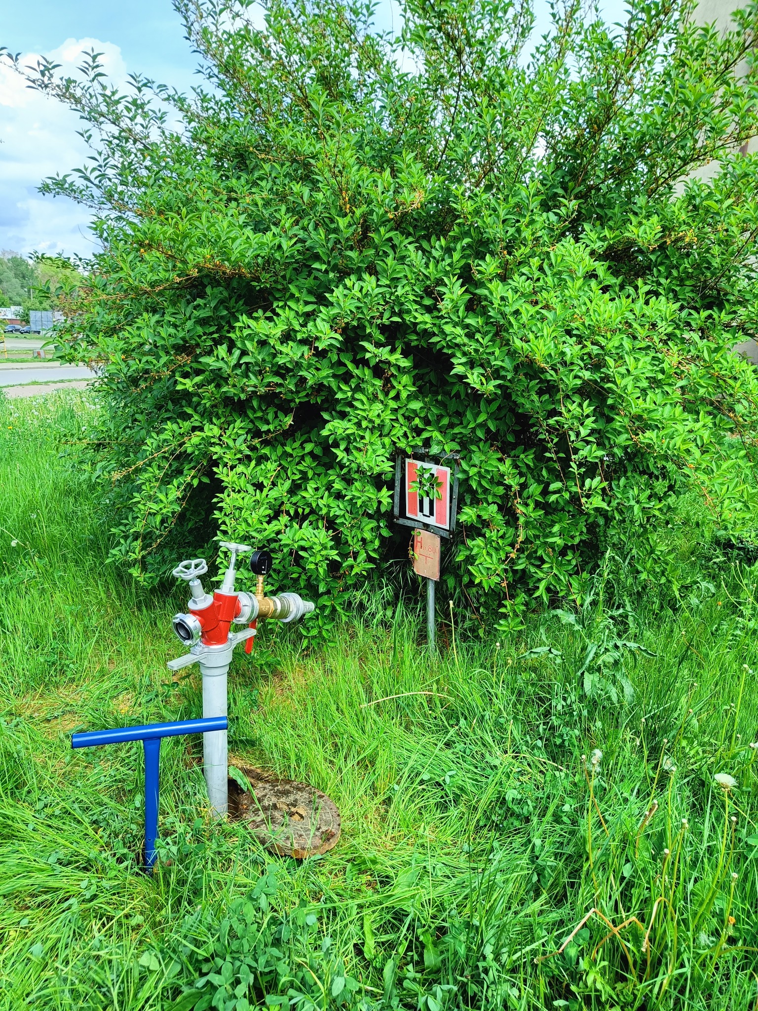Czerwony hydrant przeciwpożarowy z niebieskim kluczem, częściowo zasłonięty przez bujny krzew i wysoką trawę, obok znak informacyjny