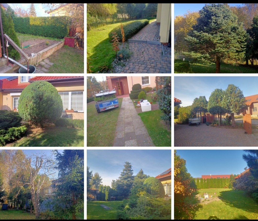 Mozaika zdjęć przedstawiająca różnorodne aranżacje ogrodów: starannie przycięte żywopłoty, ścieżki z kostki brukowej, formowane drzewa i krzewy, trawniki, oraz widok na elewacje domów w słoneczny...