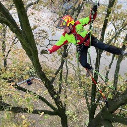 Climber Usługi wysokościowe alpinistyczne I arborystyczne - Mycie Okien Na Wysokości Suszec