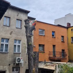 Climber Usługi wysokościowe alpinistyczne I arborystyczne - Dobre Prace Na Wysokościach Pszczyna