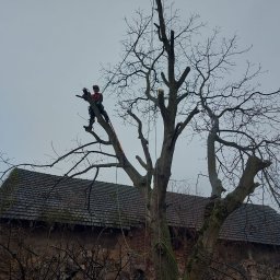 Climber Usługi wysokościowe alpinistyczne I arborystyczne - Przed domem Pszczyna