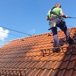 Wycinka drzew Suszec 4