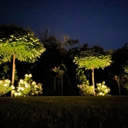 Zakładanie ogrodów Gniezno 1