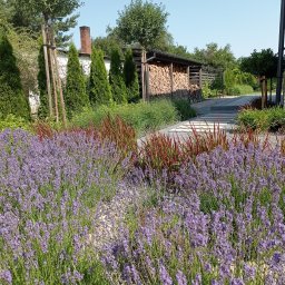 Zakładanie ogrodów Gniezno 4