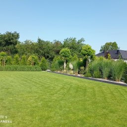 PROJEKT OGRÓD Katarzyna Bartz - Perfekcyjnie utrzymany trawnik z wyraźnymi pasami po koszeniu, obrzeża rabat z szarej kostki, ozdobne trawy i drzewka formowane w tle, błękitne niebo.