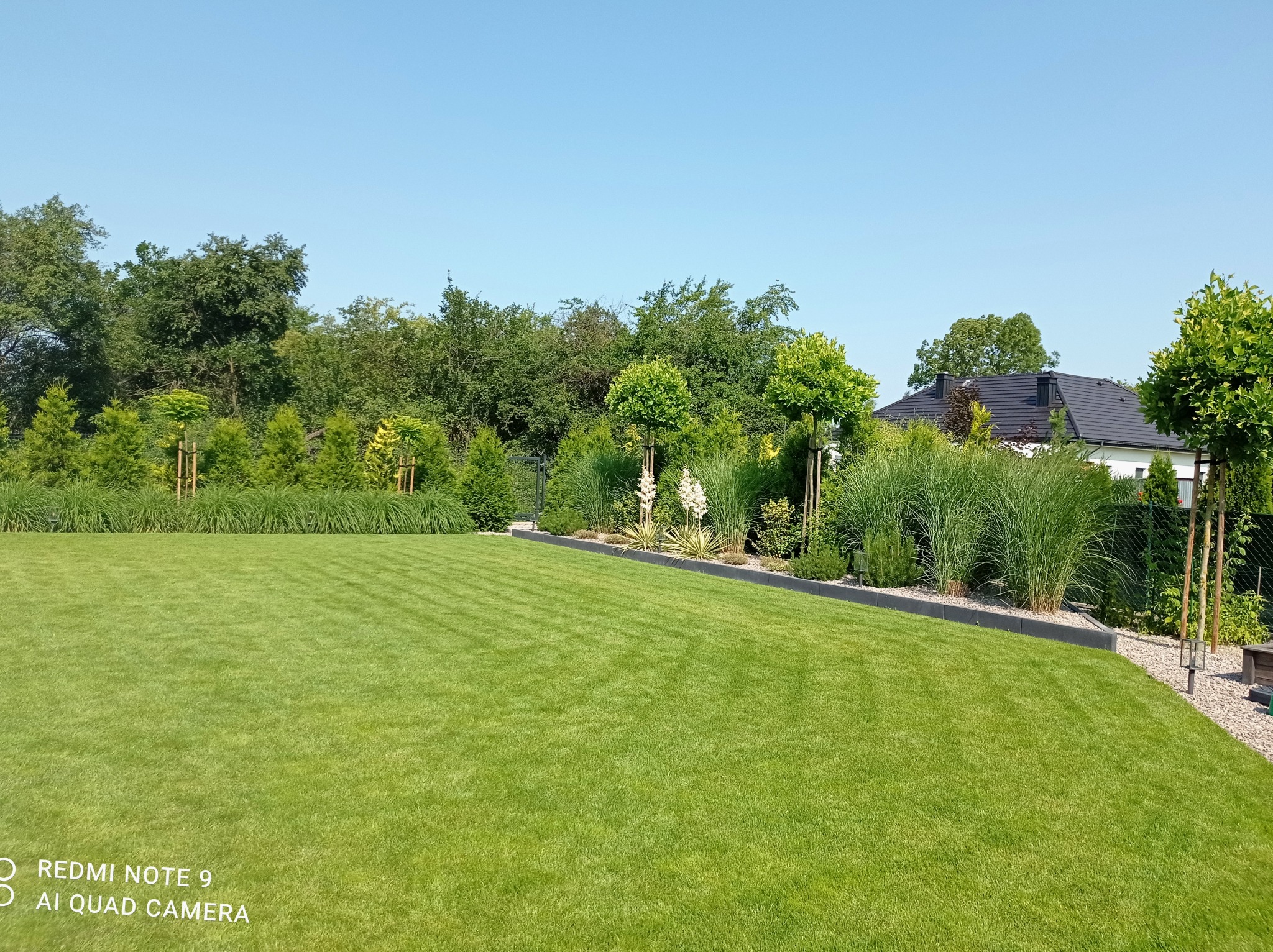 Perfekcyjnie utrzymany trawnik z wyraźnymi pasami po koszeniu, obrzeża rabat z szarej kostki, ozdobne trawy i drzewka formowane w tle, błękitne niebo.