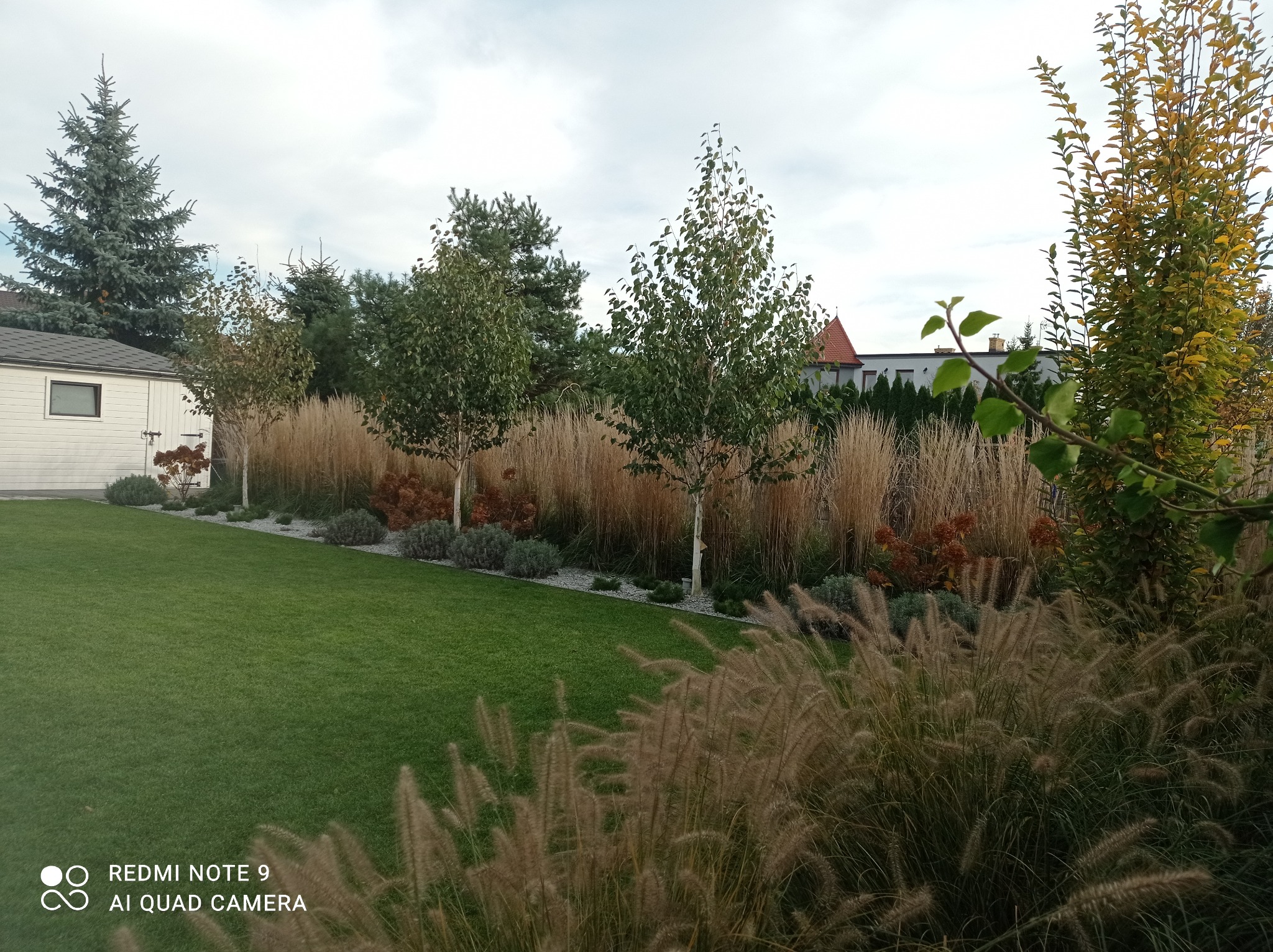 Utrzymany w nowoczesnym stylu ogród z równo przystrzyżonym trawnikiem, strzyżonymi krzewami, ozdobnymi trawami oraz młodymi brzozami.