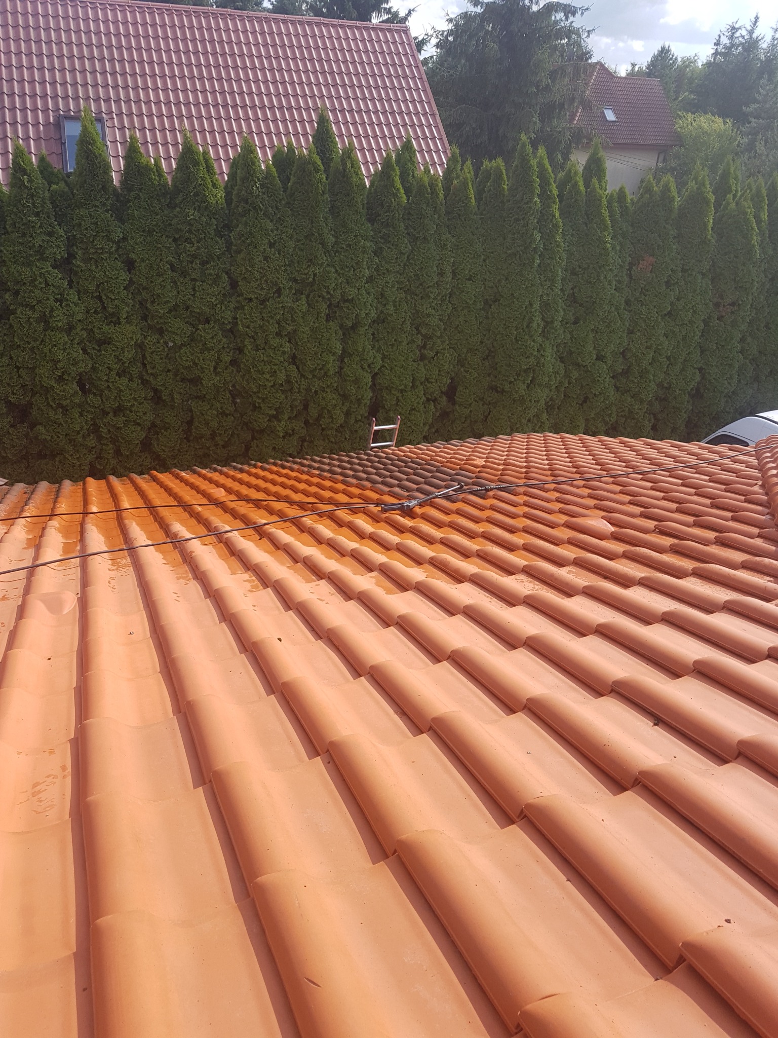Częściowo oczyszczony dach z pomarańczowej dachówki ceramicznej, widoczne ślady mycia ciśnieniowego, w tle rząd wysokich, zielonych tuj i fragment budynku z czerwoną dachówką.