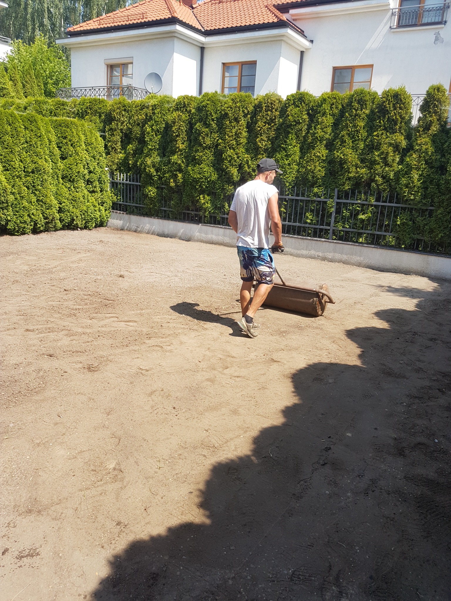 Mężczyzna wyrównuje ziemię walcem ogrodowym na przygotowanym terenie pod trawnik, w tle żywopłot i dom.