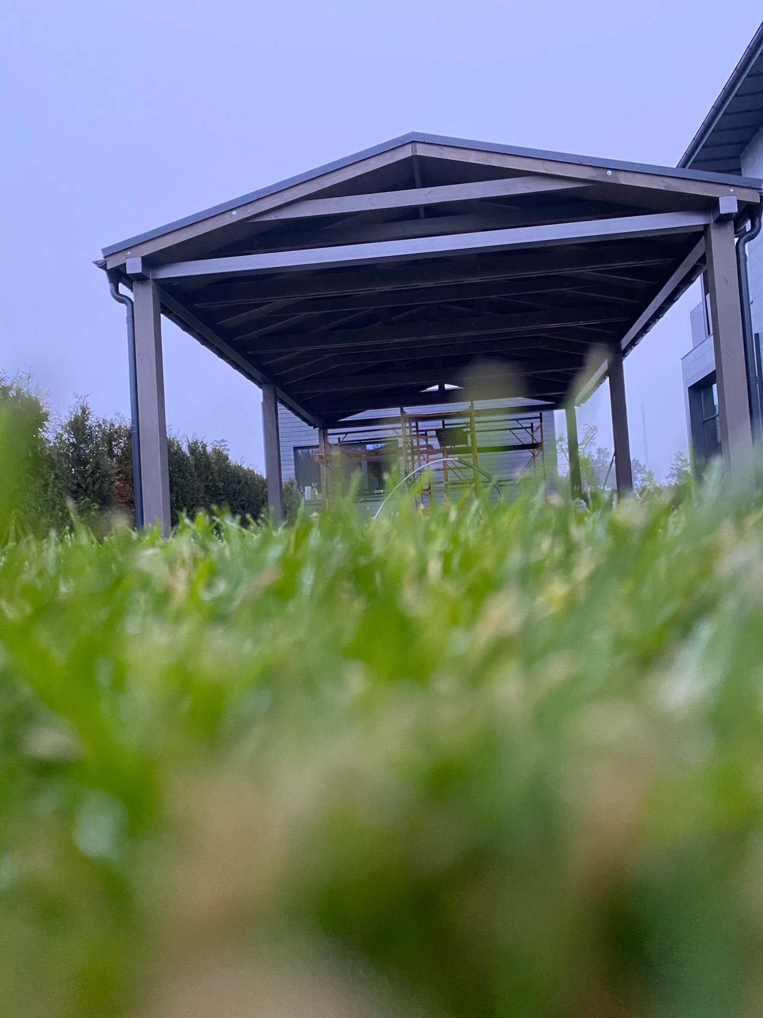 Niski kąt widzenia na zadaszoną konstrukcję z metalu i drewna z widocznymi rusztowaniami w tle, częściowo zasłoniętą przez źdźbła trawy na pierwszym planie.