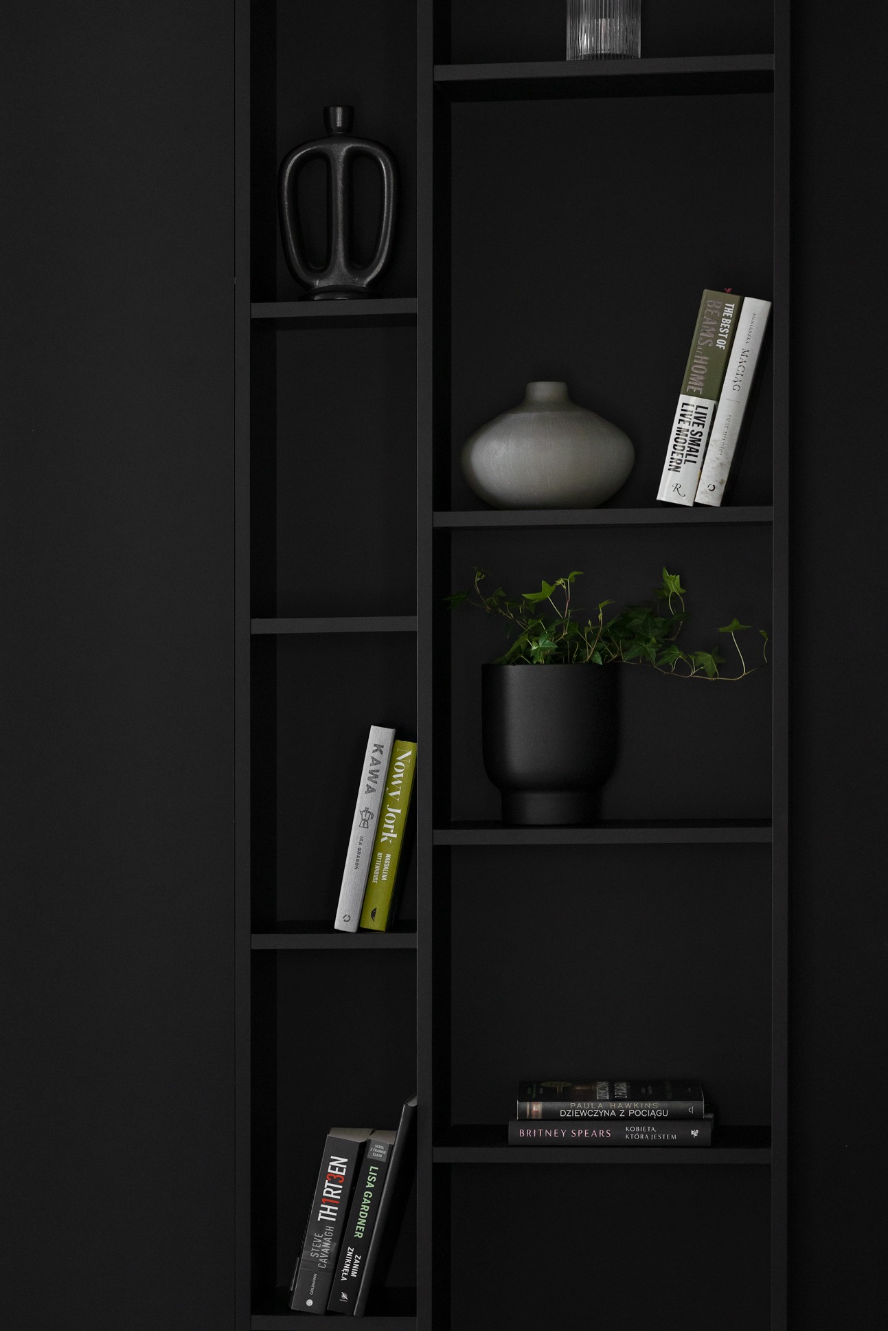 Czarny regał z dekoracjami: wazon, książki i roślina doniczkowa z bliska.