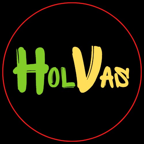 Grafika logotypu 'Holvas' z zielonym 'Hol' i żółtym 'Vas' na czarnym tle, obrysowana cienką czerwoną linią tworzącą okrąg.