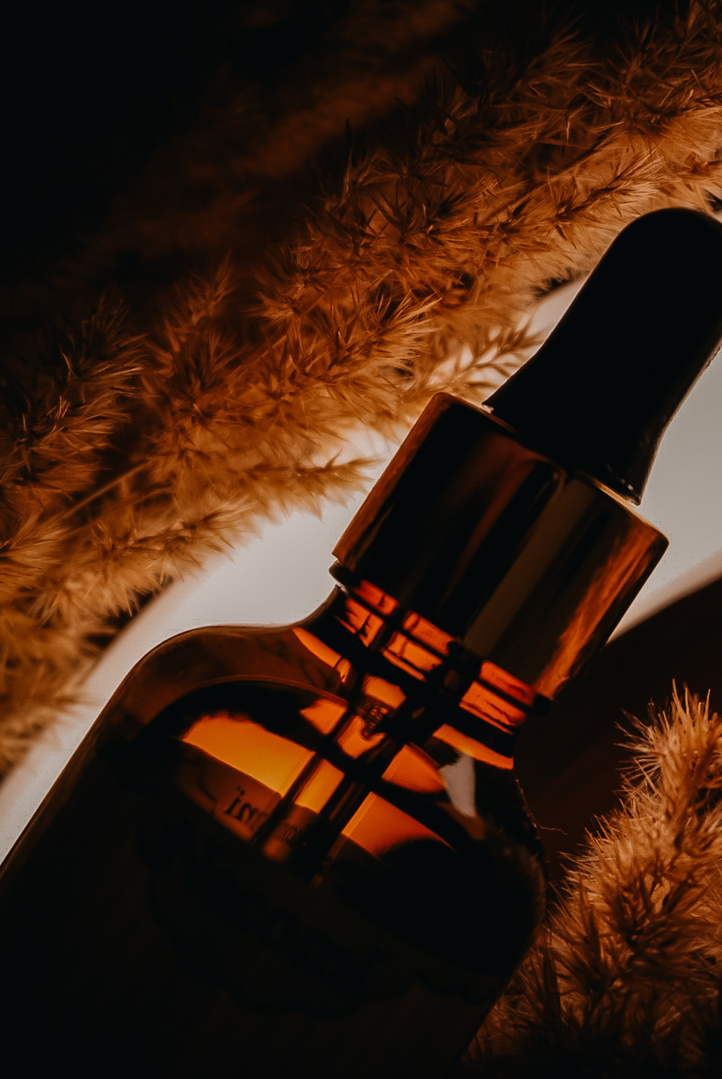 Amber szklana buteleczka z pipetą na tle puszystych, brązowych traw, z delikatnym światłem podkreślającym fakturę i kształt.