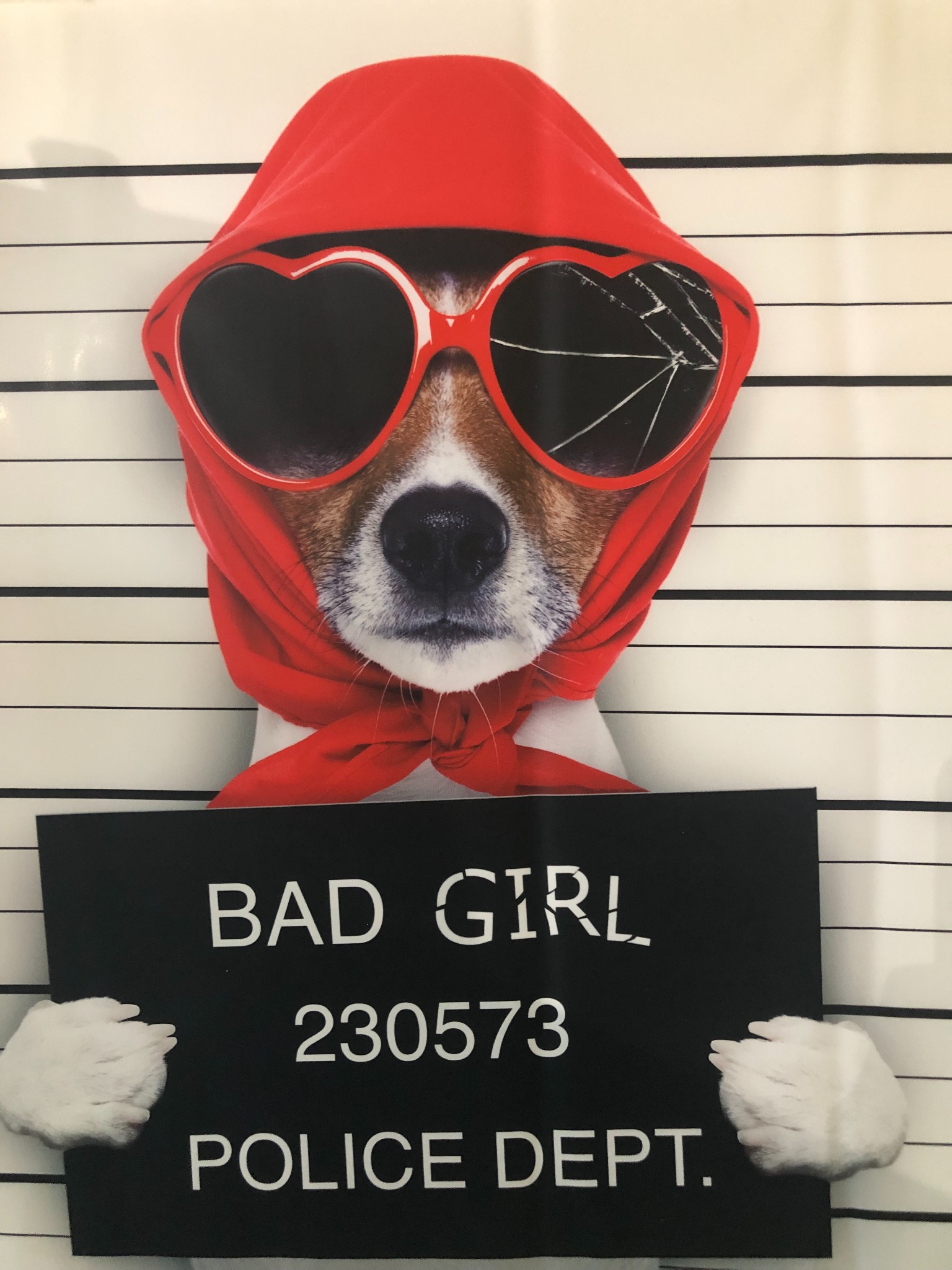 Grafika przedstawiająca psa w czerwonej chuście i okularach w kształcie serc z pęknięciem na jednym szkle, trzymającego tabliczkę z napisem 'BAD GIRL 230573 POLICE DEPT.' na tle linii do zdjęć...