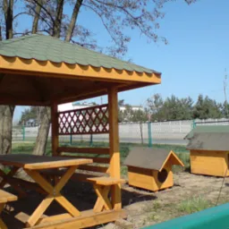 Drewniana altana z zielonym dachem, stół z ławkami wewnątrz, obok dwie budy dla psów z drewna, w tle drzewa i niebieskie niebo.