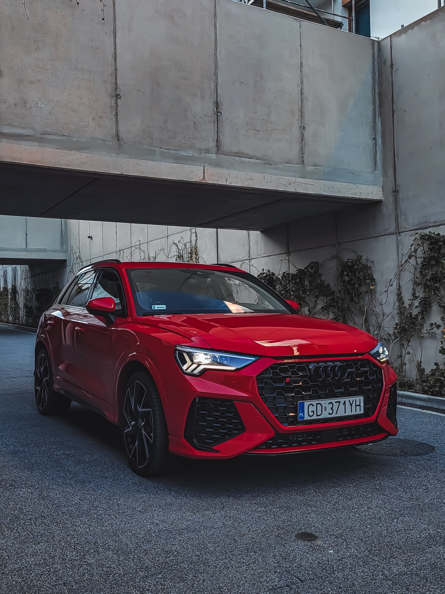 Czerwony sportowy crossover Audi RS Q3 zaparkowany pod betonowym wiaduktem z pnącą się roślinnością, widok z przodu na tablicę rejestracyjną.