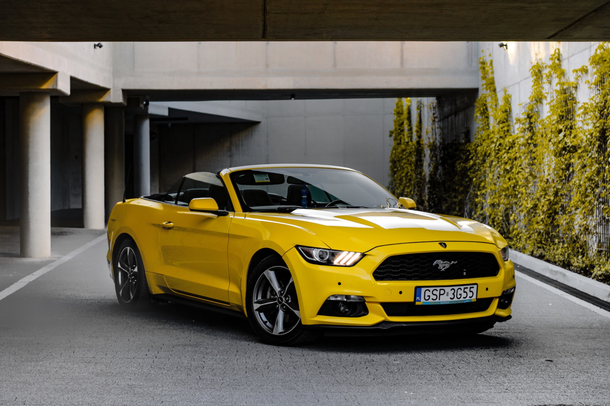 Żółty kabriolet Ford Mustang zaparkowany w betonowym garażu podziemnym z roślinnością pnącą się po ścianie w tle.