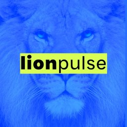 Lion Pulse Sp. z o.o. - Obsługa Stron www Warszawa