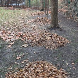 Ogrodzenia panelowe Nawojowa Góra 4