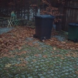 KSAL GREEN Pielęgnacja Ogrodów Kamil Kozioł - Jesienne liście na kostce brukowej, dwa pojemniki na śmieci, drewniany płot w tle. Sezonowe porządki w ogrodzie.
