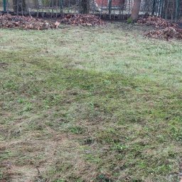 KSAL GREEN Pielęgnacja Ogrodów Kamil Kozioł - Jesienne grabienie liści na trawniku, z kupkami liści w tle i pojedynczymi liśćmi w rogu kadru. Widoczny fragment węża ogrodowego.