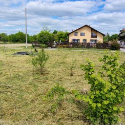 KSAL GREEN Pielęgnacja Ogrodów Kamil Kozioł - Zabezpieczony teren z młodymi drzewkami za siatką ogrodzeniową, w tle domy jednorodzinne i błękitne niebo z chmurami. Widok z perspektywy ogrodzenia.