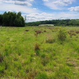 KSAL GREEN Pielęgnacja Ogrodów Kamil Kozioł - Rozległy teren zielony z wysoką trawą, w tle las i błękitne niebo z chmurami. Osoba z kosiarką spalinową w oddali, częściowo za ogrodzeniem. Krajobraz po koszeniu trawy.