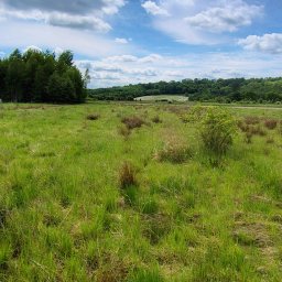 KSAL GREEN Pielęgnacja Ogrodów Kamil Kozioł - Rozległy teren zielony z wysoką trawą, częściowo skoszony. W tle las i błękitne niebo z chmurami. Osoba z kosiarką w oddali, przy ogrodzeniu. Krajobraz po koszeniu.