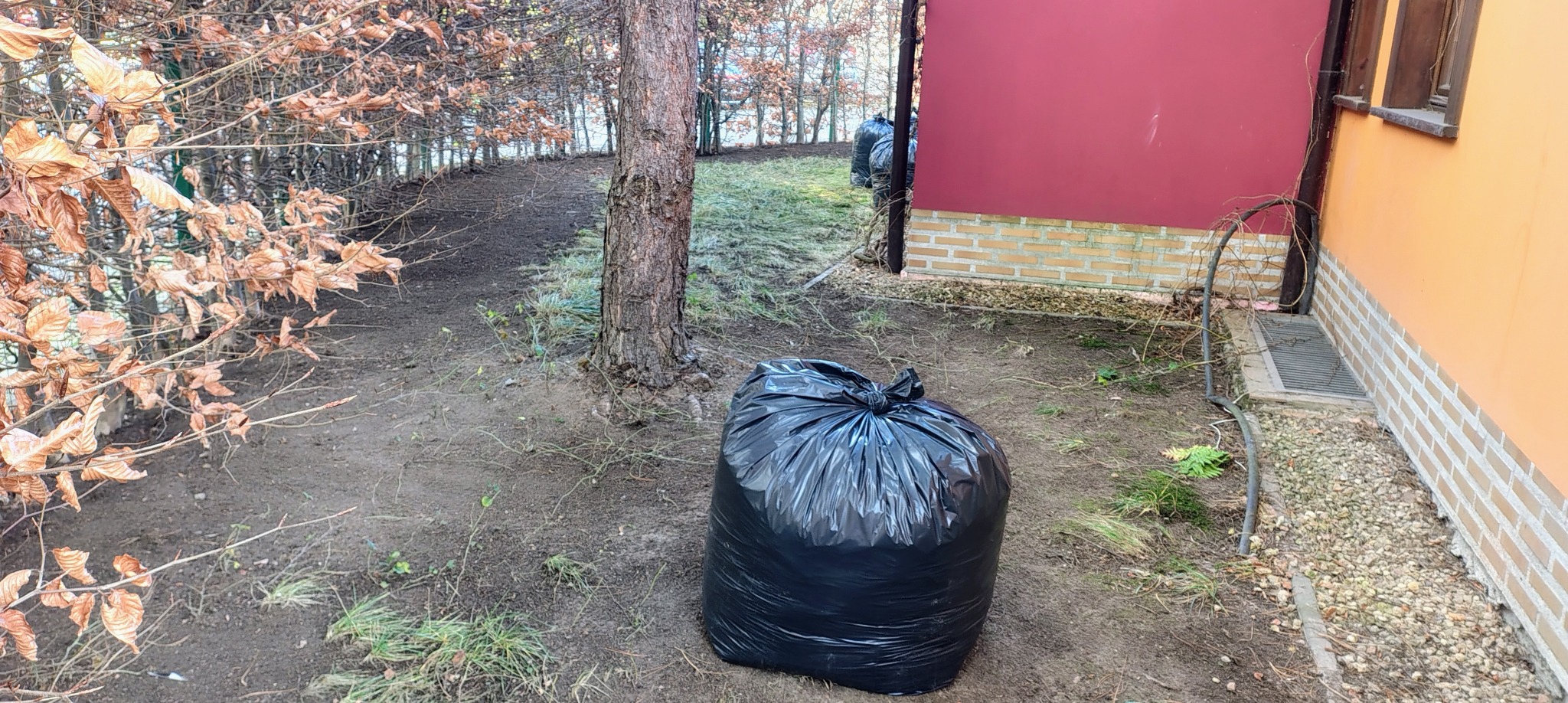Worek z liśćmi na uprzątniętym terenie ogrodu, widoczne dwa budynki w tle. Przygotowanie terenu pod nasadzenia, sprzątanie po wycince.