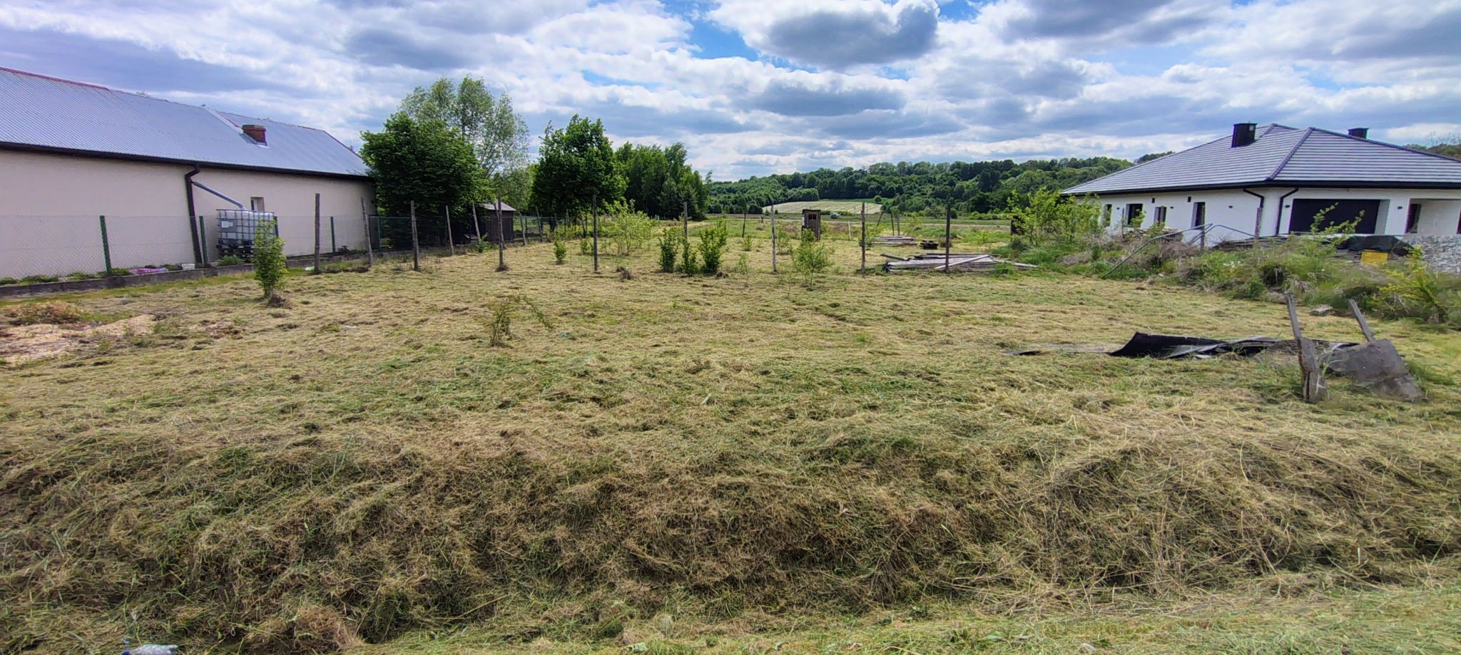 Rozległy teren po koszeniu trawy, z młodymi drzewkami i widocznymi budynkami w tle, pod błękitnym niebem z obłokami. Świeżo skoszona trawa równomiernie pokrywa obszar.
