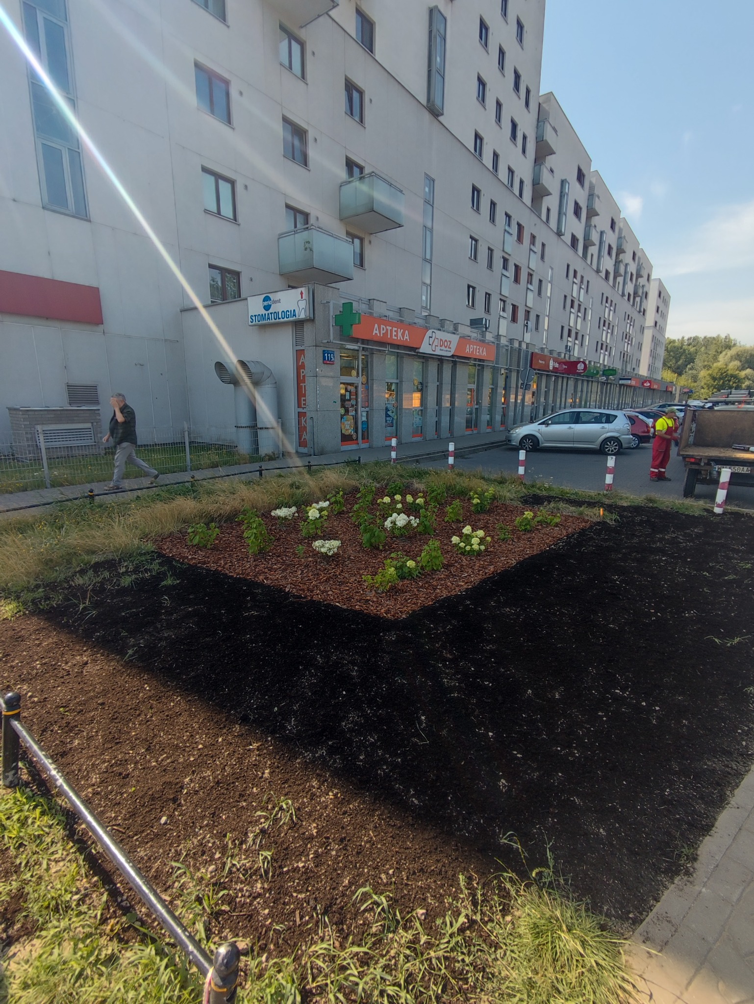 Nowo założony rabat kwiatowy z korą i świeżo posadzonymi hortensjami na tle budynku z apteką i stomatologią, widoczny pracownik w odblaskowej kamizelce i ciężarówka.