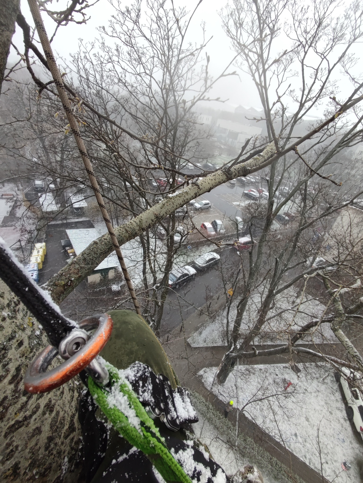 Widok z góry na ośnieżone drzewa i parking miejski podczas mglistej pogody, z elementami uprzęży arborystycznej i lin widocznymi na pierwszym planie.