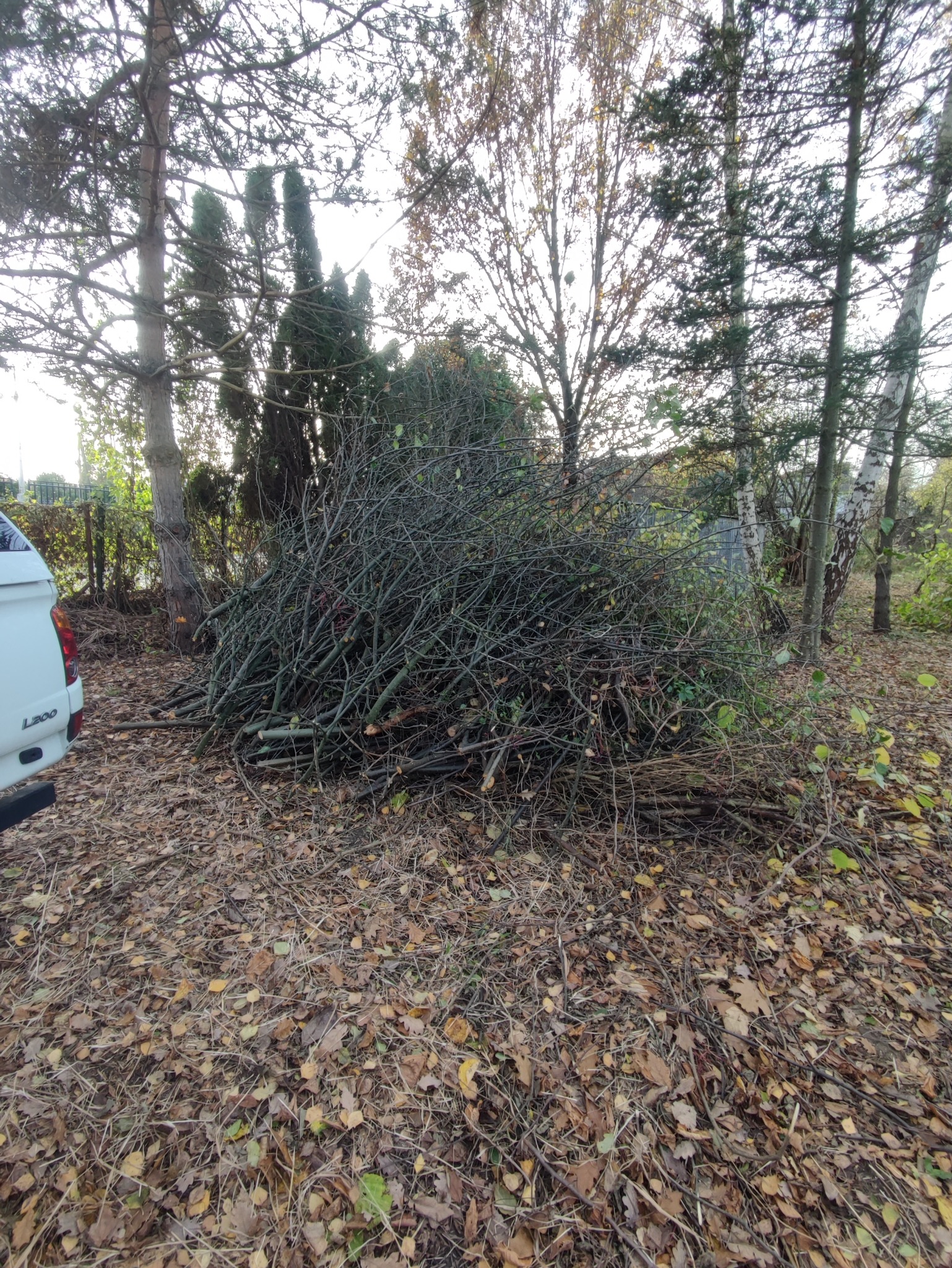 Kupa gałęzi i pociętych konarów drzew leżąca na ziemi pokrytej suchymi liśćmi, obok zaparkowany biały samochód typu pick-up.
