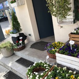 Mycie okien Warszawa 1