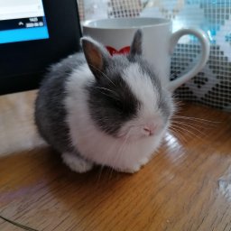 Mycie okien Warszawa 2