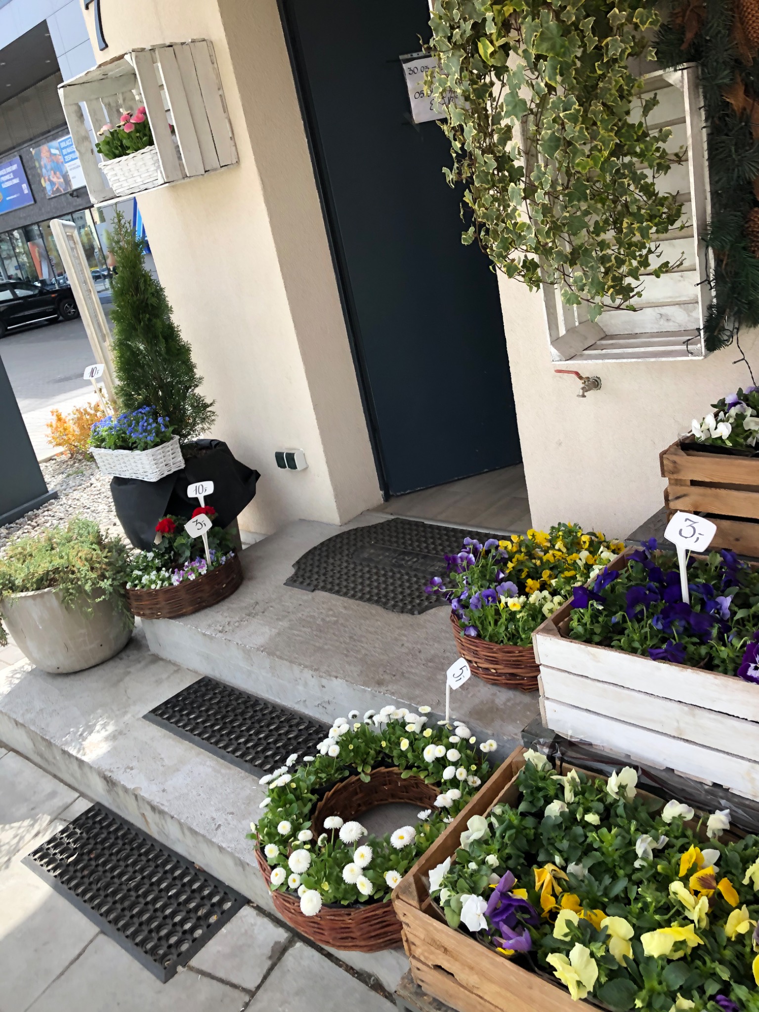 Kwiaty w donicach i skrzynkach, ustawione na schodach przed wejściem do budynku, z cenami na małych tabliczkach.