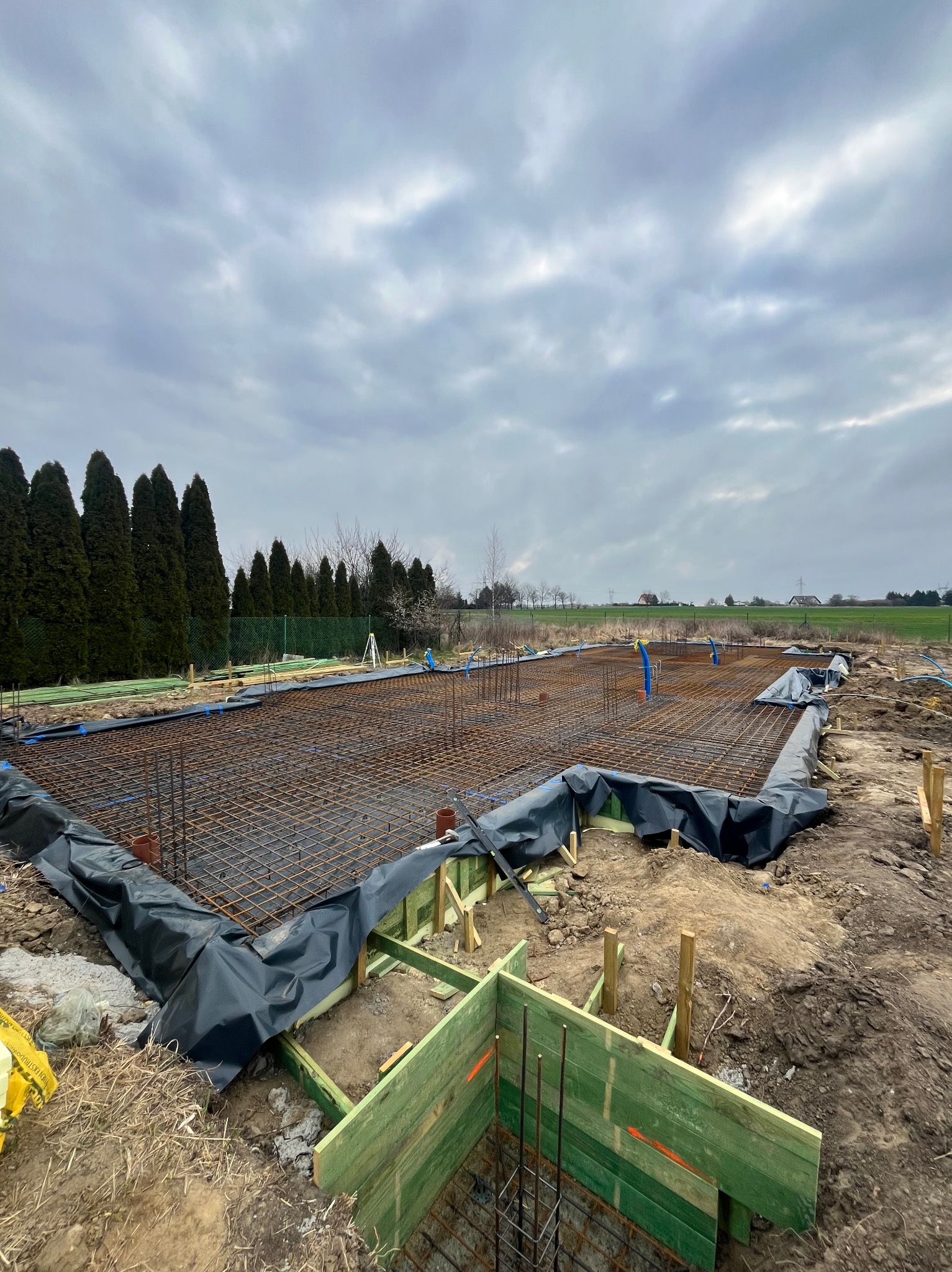 Zbrojenie fundamentów pod budowę domu, widok na siatkę zbrojeniową i szalunki, w tle zielone drzewa i pochmurne niebo. Prace budowlane w toku.