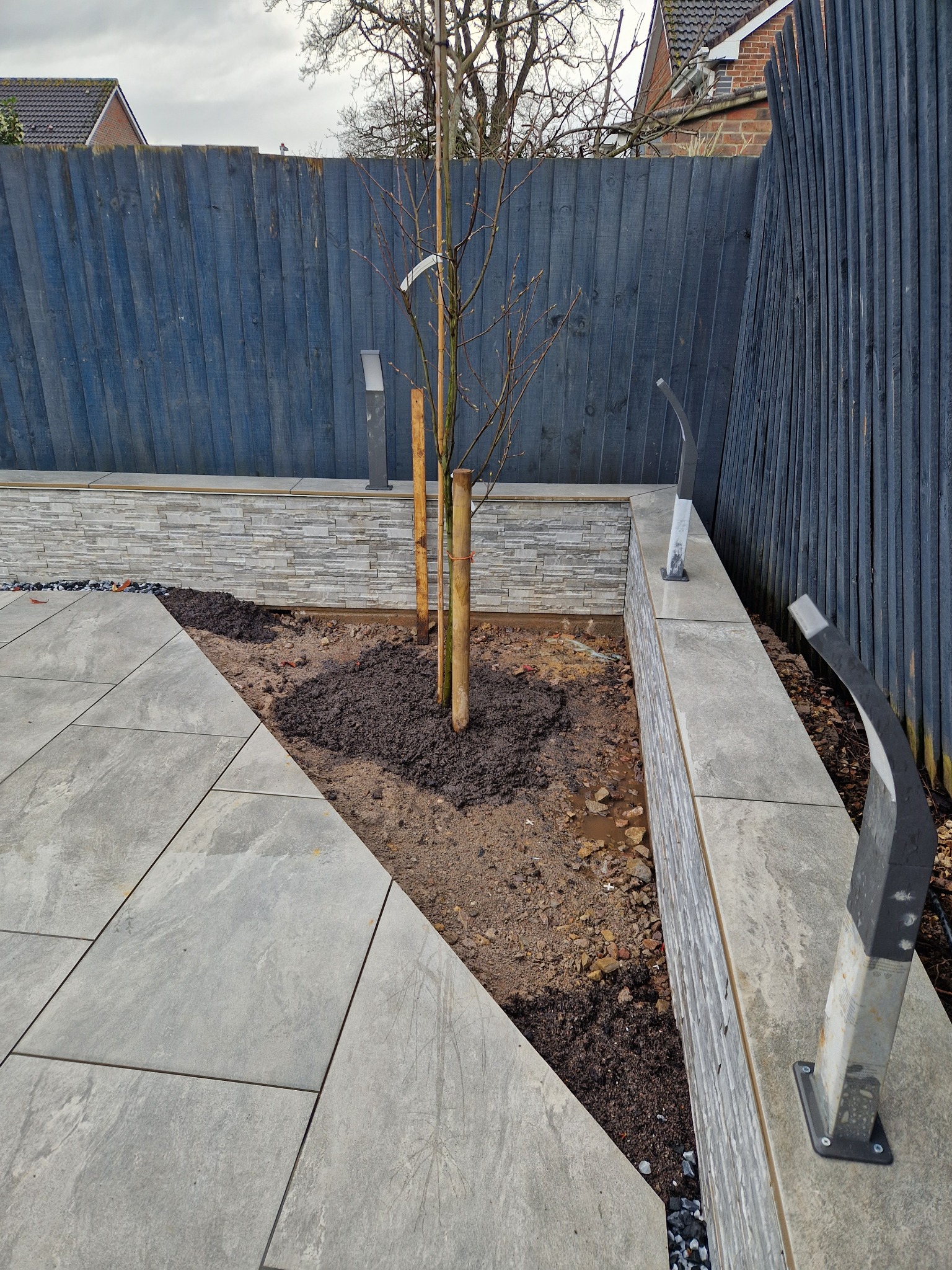 Nowo posadzone drzewko podparte bambusowymi tyczkami w wyłożonym kamiennymi płytami i obłożonym kamieniem ogrodzie, z podświetleniem i ciemnym drewnianym ogrodzeniem w tle.