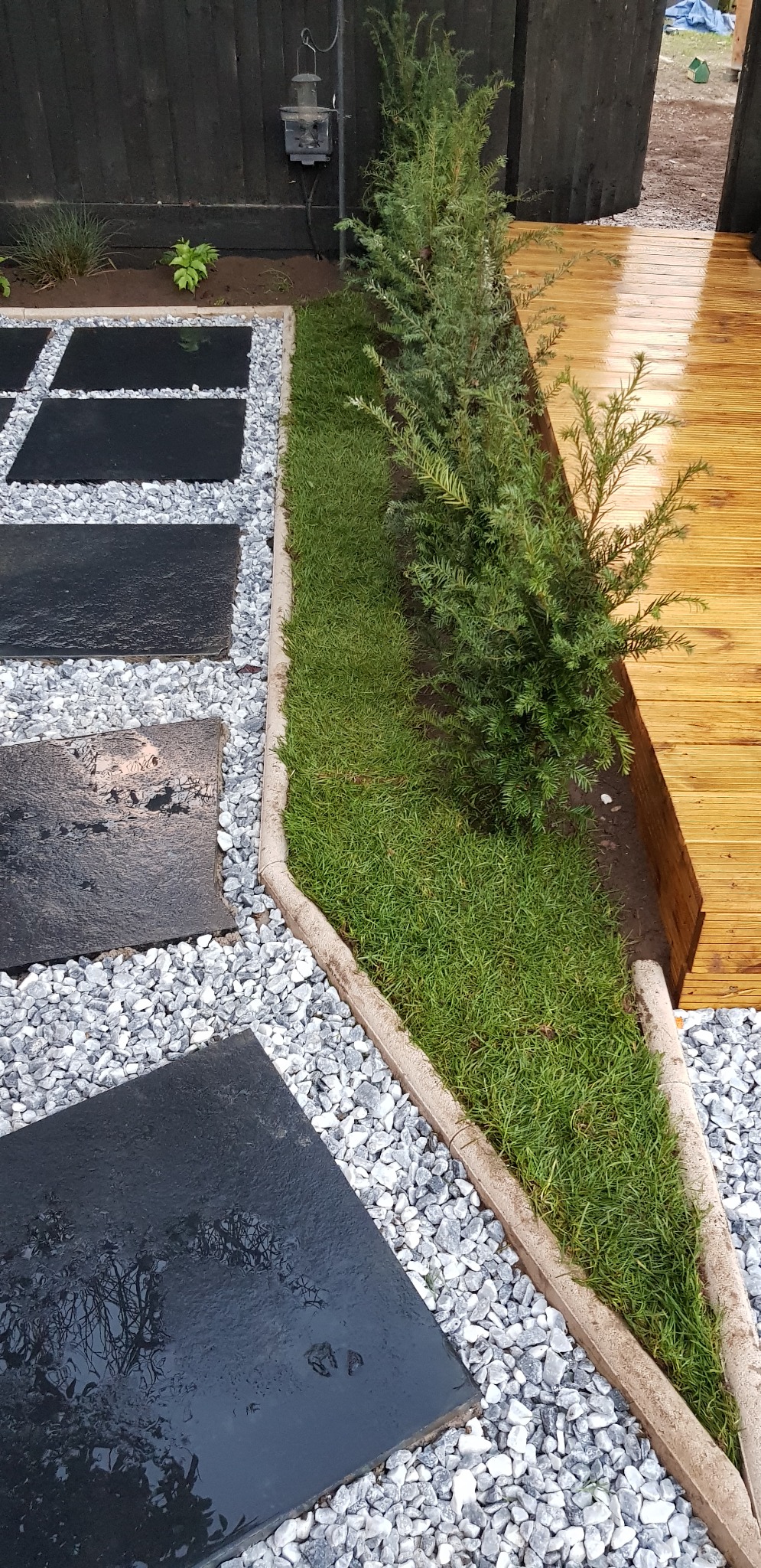 Ułożone czarne płyty kamienne z szarym żwirem, obok trawnik z obrzeżem i iglakiem, fragment drewnianego tarasu.