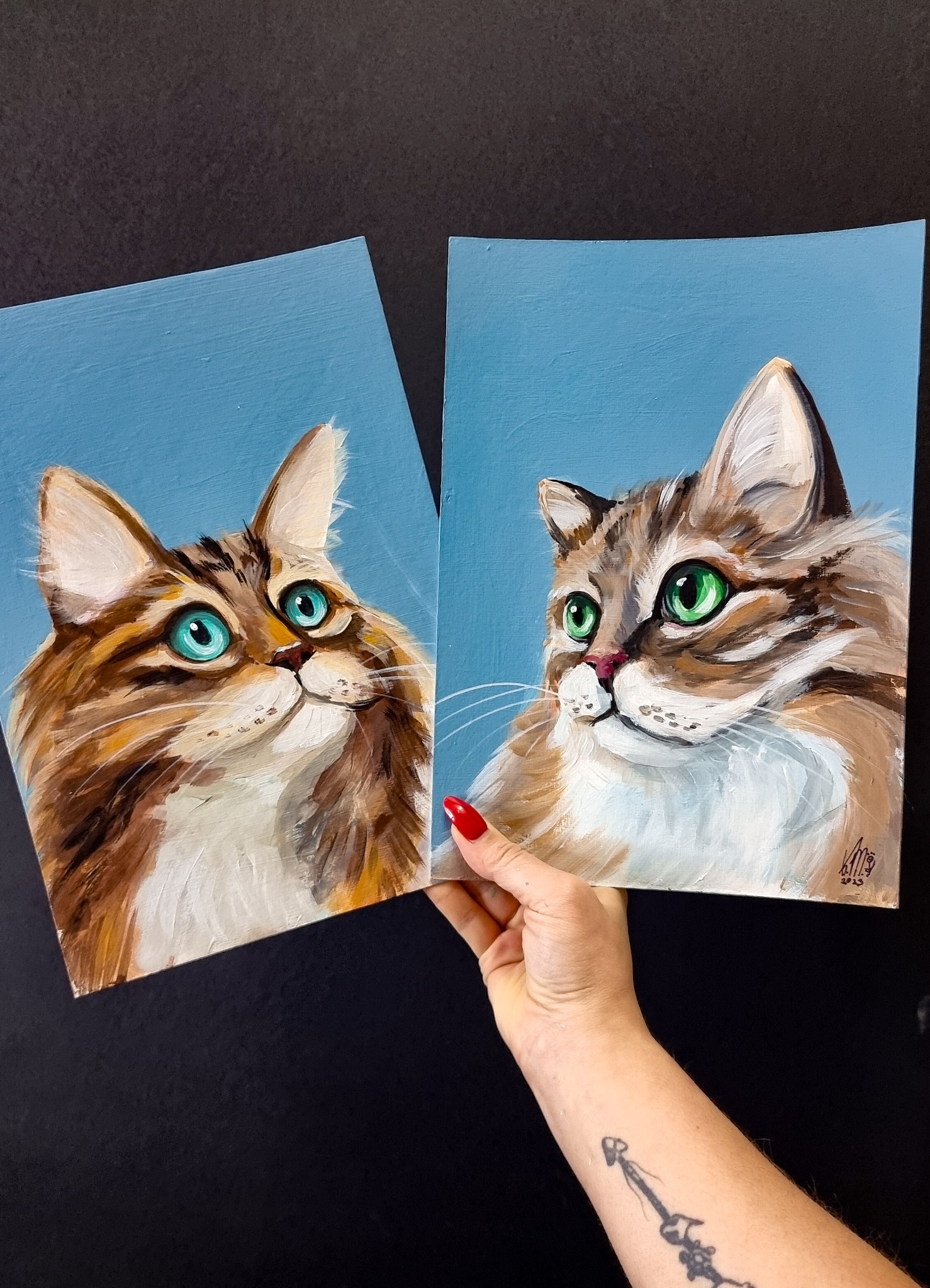 Koci portret - zwierzęta Black Mind Katarzyna Murzyn