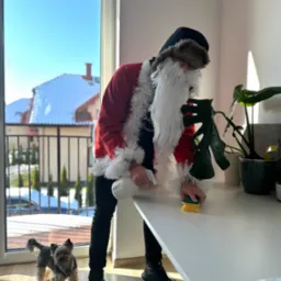 Osoba w stroju Świętego Mikołaja czyści białe biurko gąbką i spryskiwaczem, obok stoi mały pies rasy yorkshire terrier, w tle widok na ośnieżone dachy budynków.