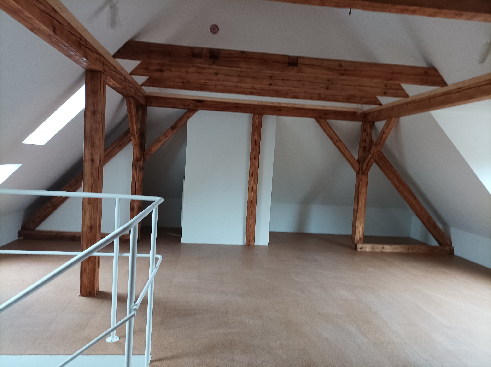Poddasze z drewnianą konstrukcją nośną, wykończone płytami, z oknami dachowymi i białą balustradą, widoczne elementy oświetlenia.