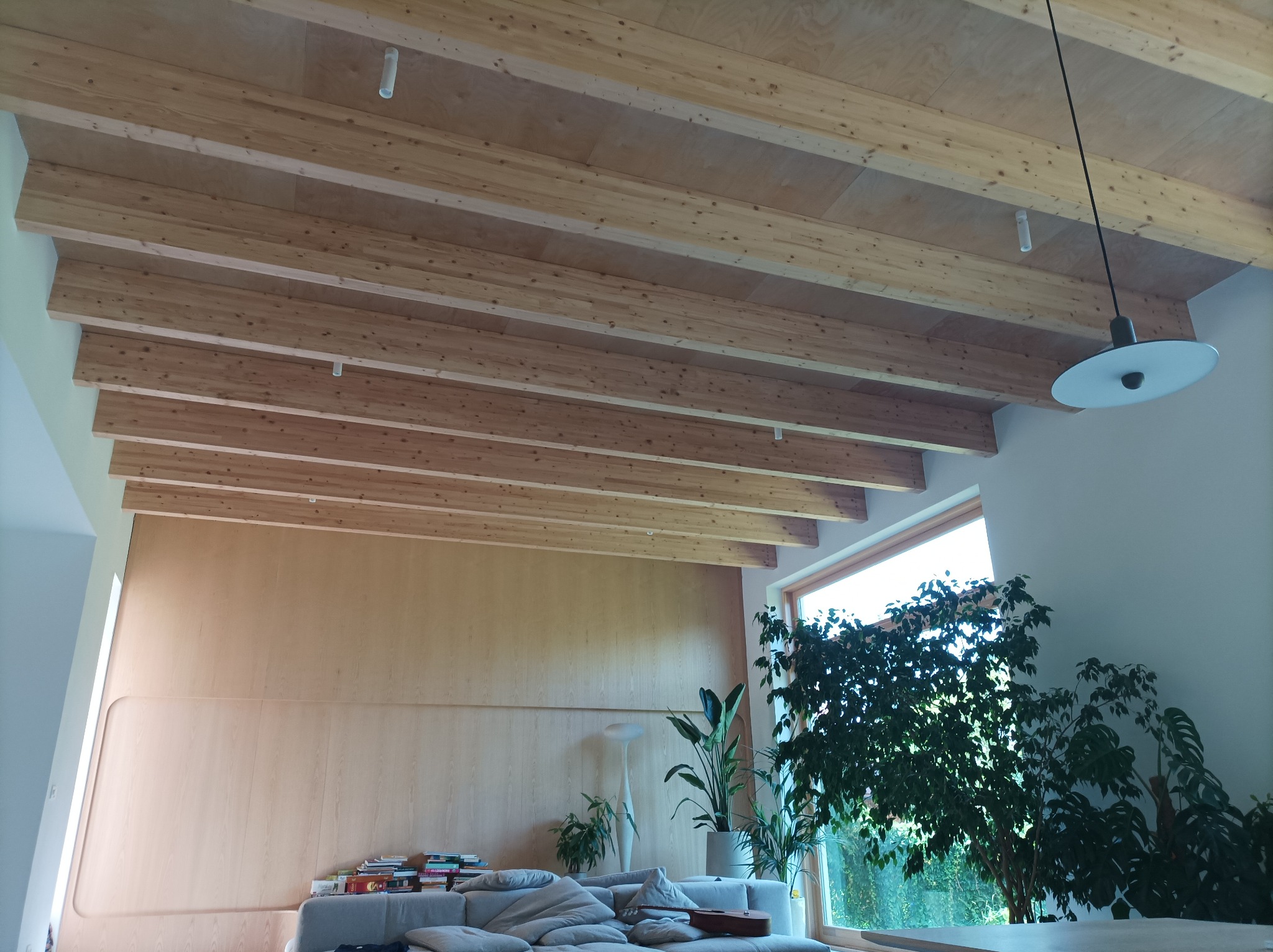 Drewniany strop belkowy z widocznymi instalacjami, wykończony płytami drewnopochodnymi, w jasnym wnętrzu z roślinami doniczkowymi i oknem.